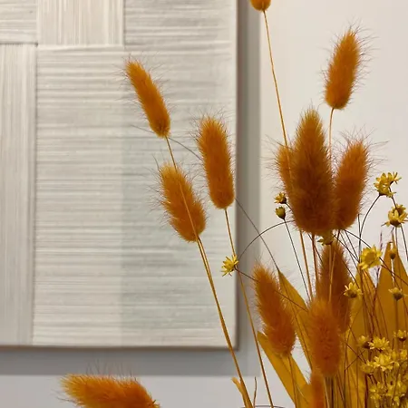 A3 Tsimiski Apartamento *